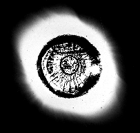 Electric Eye